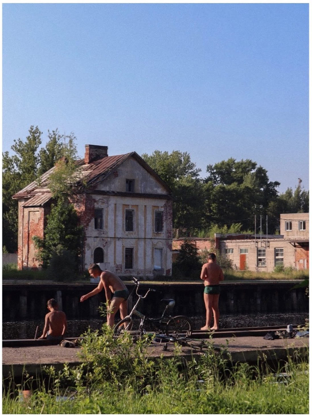 Quiet watching — photograph
