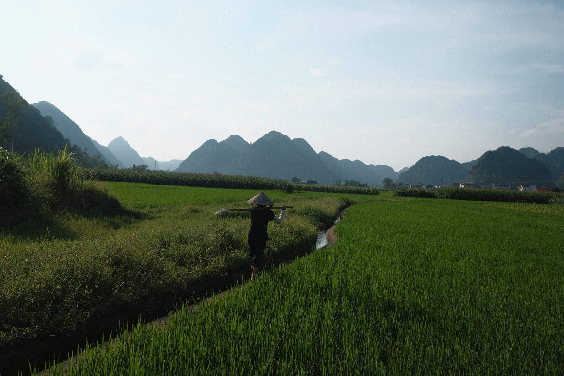 Quiet watching — Bac Son Valley, Vietnam / 2026
