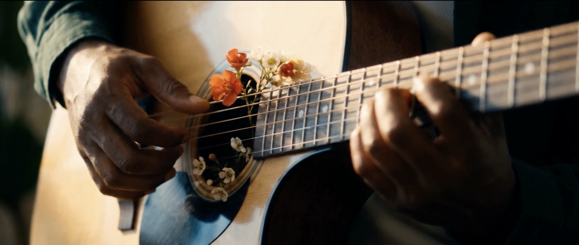 Quest — hands playing a guitar with flowers growing from the soundhole