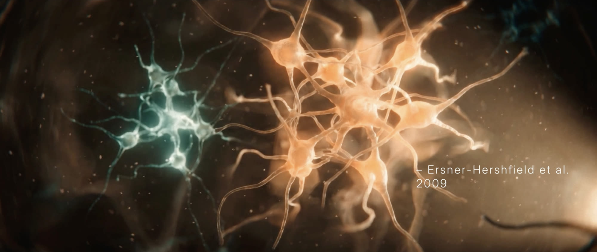 Quest — neurons visualisation, citing Ersner-Hershfield et al., 2009
