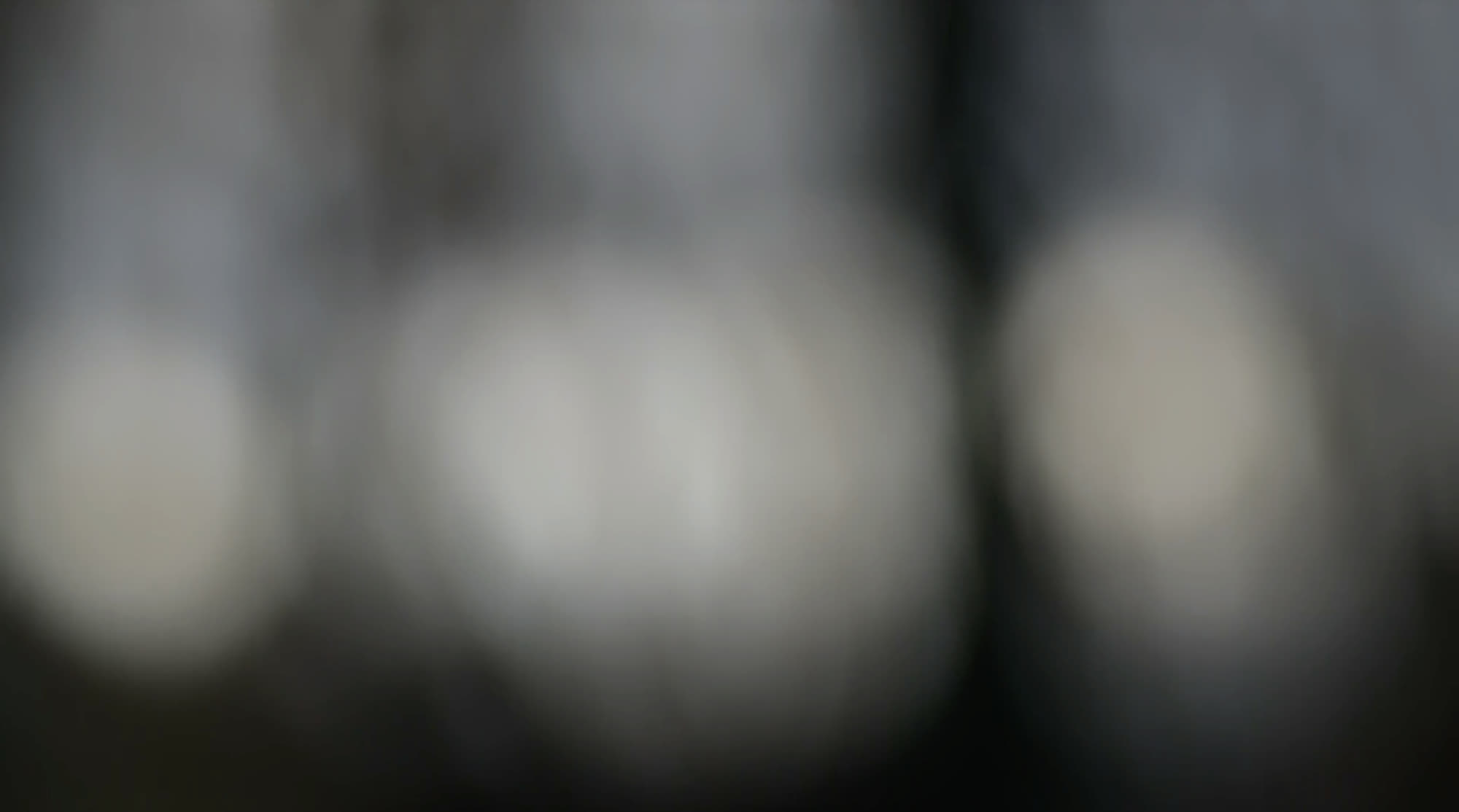 Sound of Life — frame from the film: a walk in the park